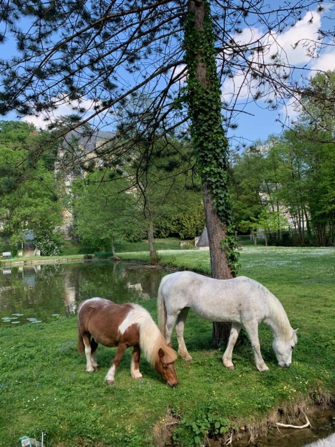 Gite Familial Chateau La Roche Racan Saint-Paterne-Racan Esterno foto